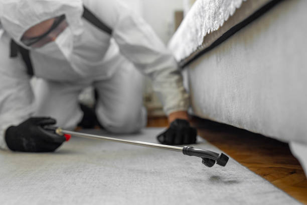 Professional Bed Bug Control technician working in Liverpool, NY