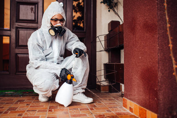 Reliable Bed Bug Control contractor in Liverpool, NY by Nex Pest Control